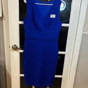 B13.    Sleeveless Royal Blue Lace Sheath Dress